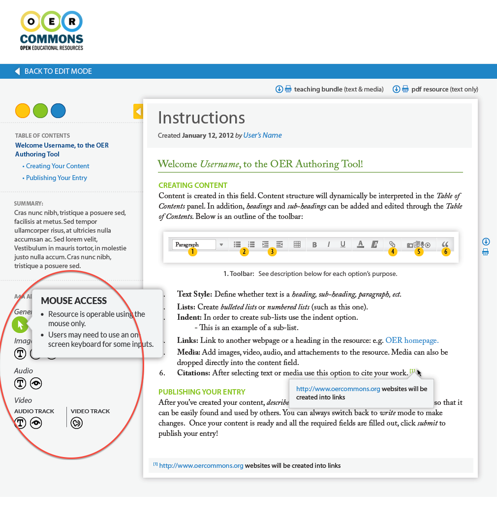 The Open Author accessibility metadata sidebar, shown in the context of the Open Author interface