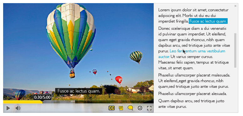 Screenshot of the Floe video player, with captions and interactive transcript on