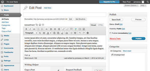 Wordpress authoring environment